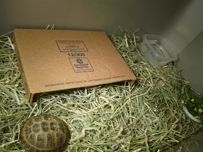 P1010390.JPG (171.07 KiB) Viewed 29360 times P1010390.JPG