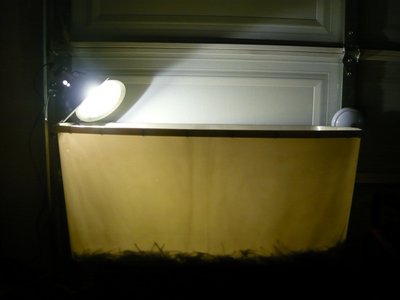 P1010394.JPG (71.15 KiB) Viewed 29353 times P1010394.JPG