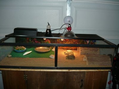 374637_290718880965703_100000827814130_766065_1873849118_n.jpg (52.38 KiB) Viewed 36520 times 374637_290718880965703_100000827814130_766065_1873849118_n.jpg