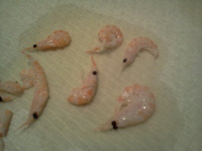 2013-02-28 19.12.03.jpg