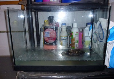 Mati Aquarium.jpg