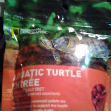 turtle entree.jpg