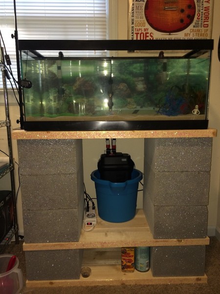 03302015 Fluval 406 (3).JPG (229.2 KiB) Viewed 33686 times 03302015 Fluval 406 (3).JPG