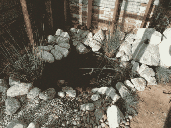 IMG_3204.gif