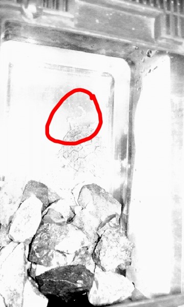 Snapchat-8975462458928307007.jpg (131.03 KiB) Viewed 9510 times Snapchat-8975462458928307007.jpg