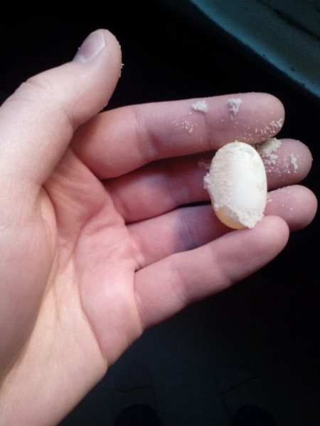 egg1.jpg