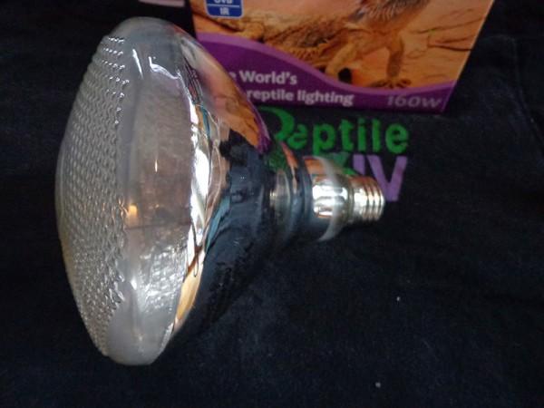 DSC00188.JPG