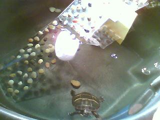 Picture0072.jpg