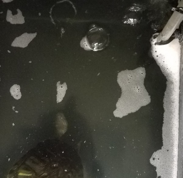 20180222_180737.jpg (349.15 KiB) Viewed 7363 times 20180222_180737.jpg