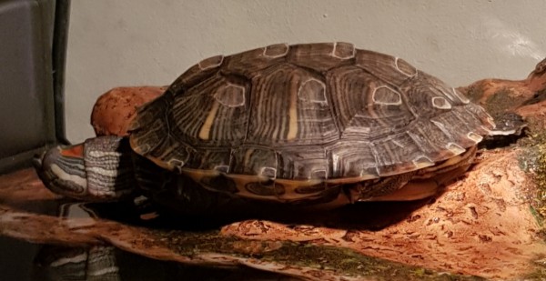 20190602_020718.jpg