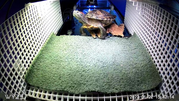 D03F2703B4A9_1642887738765.jpg (467.06 KiB) Viewed 12812 times D03F2703B4A9_1642887738765.jpg