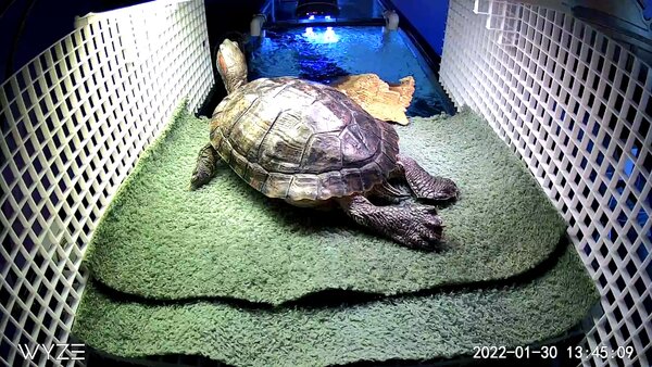 D03F2703B4A9_1643571909669.jpg (452.67 KiB) Viewed 12884 times D03F2703B4A9_1643571909669.jpg