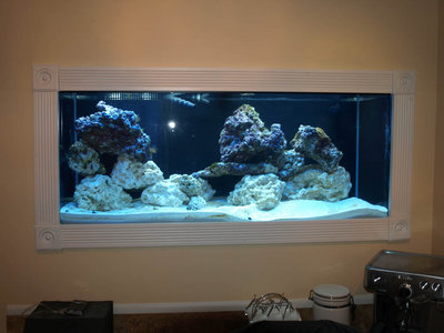 reef.jpg